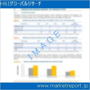 市場と産業調査レポートのイメージ